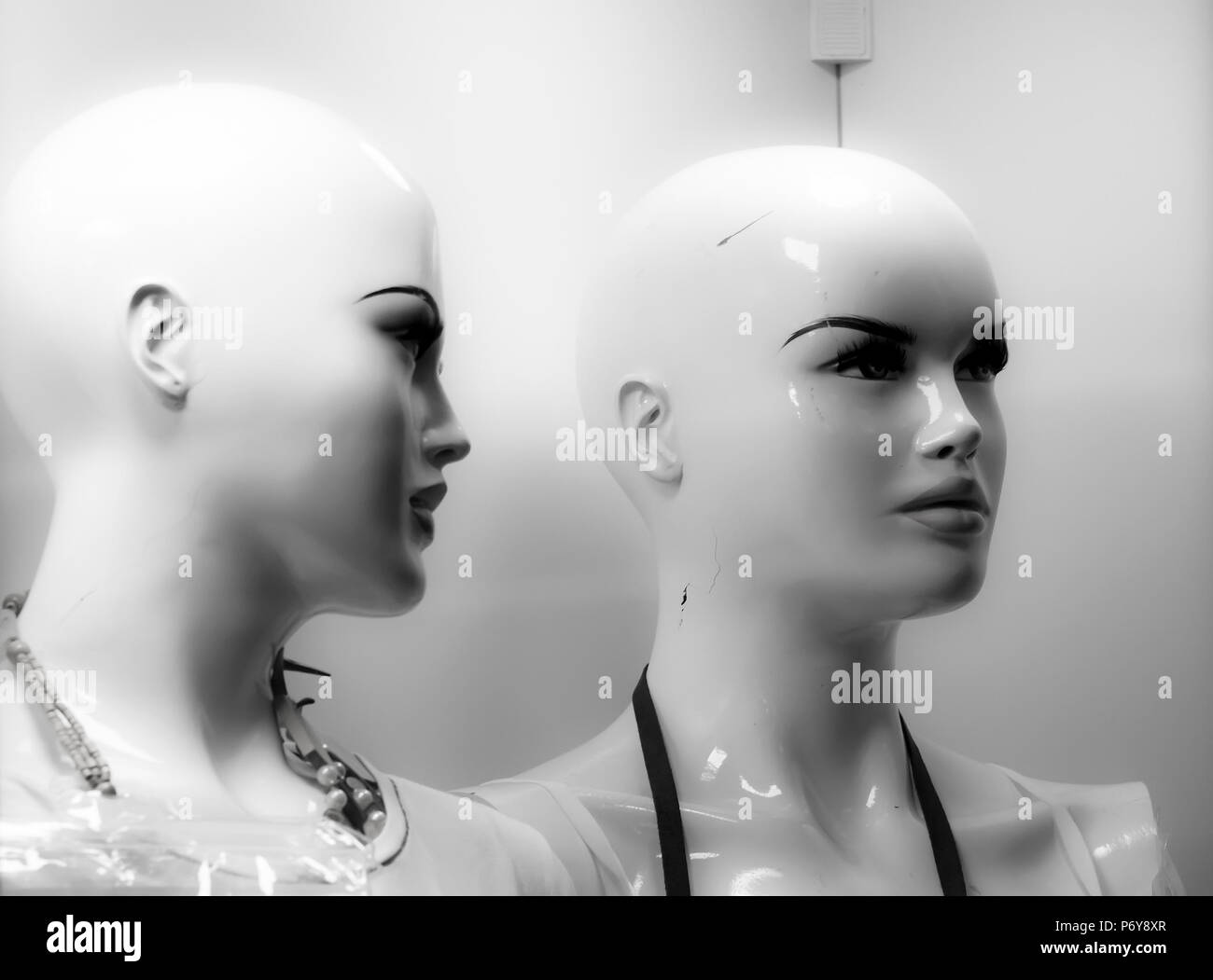 A row of identical bald mannequin heads, shoulder to shoulder, looking  upward Stock Photo - Alamy