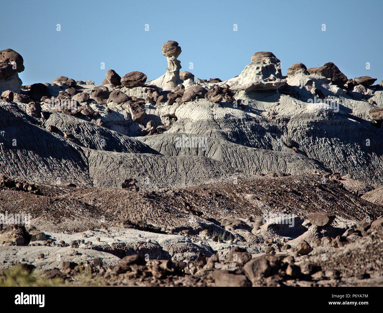 Ischigualasto Provincial Park, San Juan, Argentina Stock Photo - Alamy