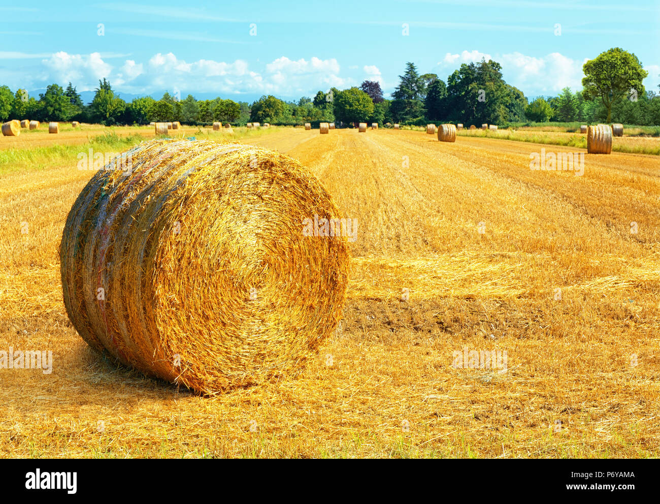 Hay bales on summer day landscape Stock Photo - Alamy