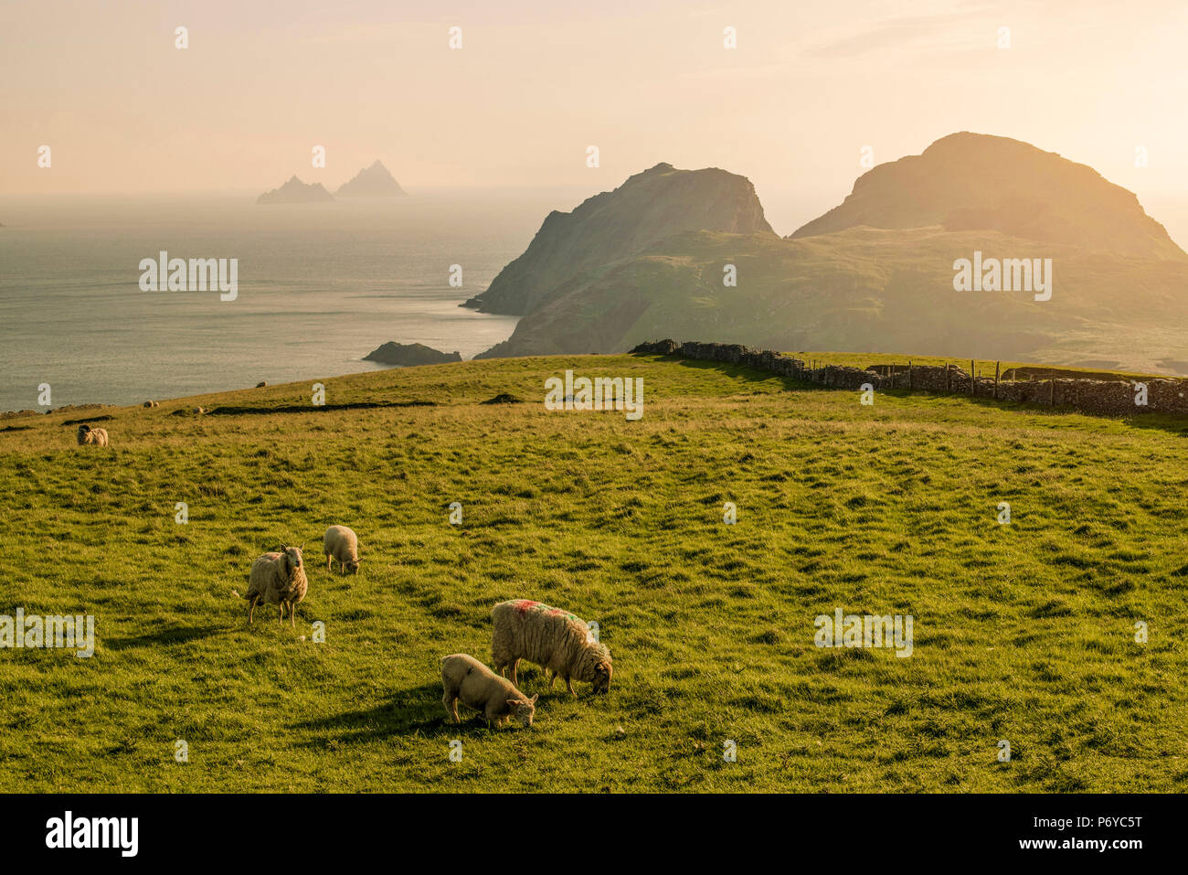 Portmagee, County Kerry, Munster province, Ireland, Europe. View of the Puffin island and the