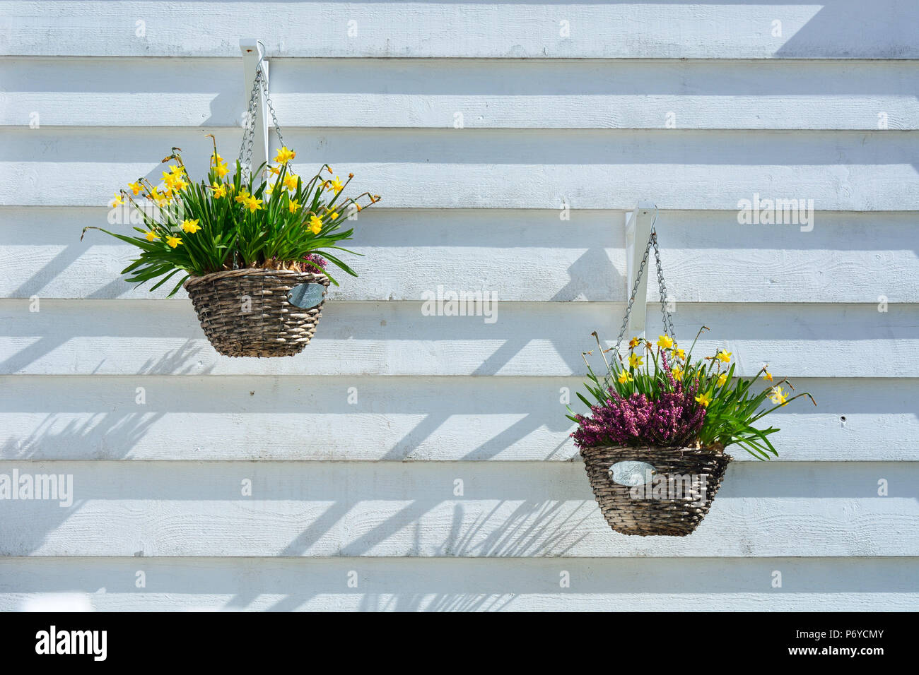 Flowers in a traditional fisherman's house of Sandviken, Bergen. Norway Stock Photo