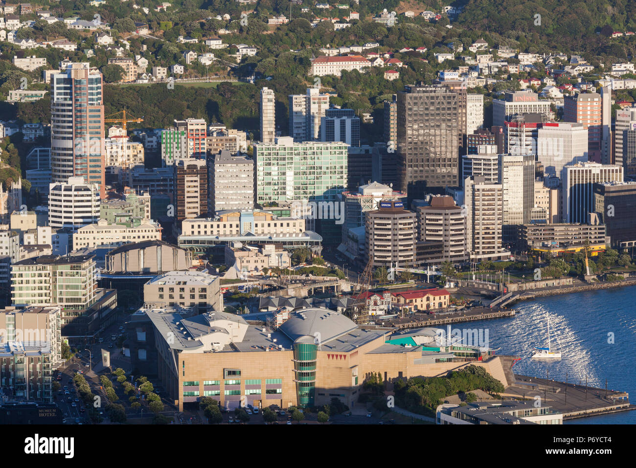New Zealand, North Island, Wellington, elevated city skyline from Mt. Victoria, dawn Stock Photo