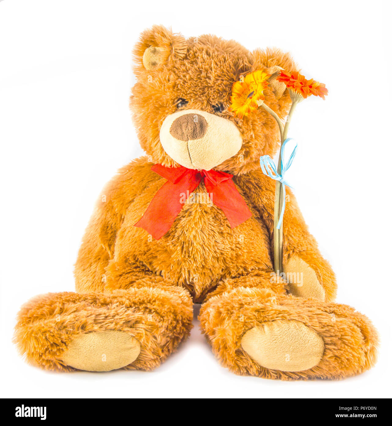 pige Resultat Bloodstained Page 2 - Teddy Bear Souvenir High Resolution Stock Photography and Images -  Alamy
