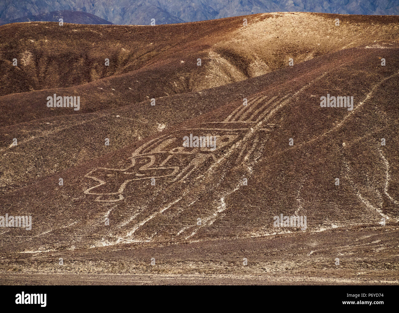 The Paracas Family Geoglyph, Palpa, Ica Region, Peru Stock Photo