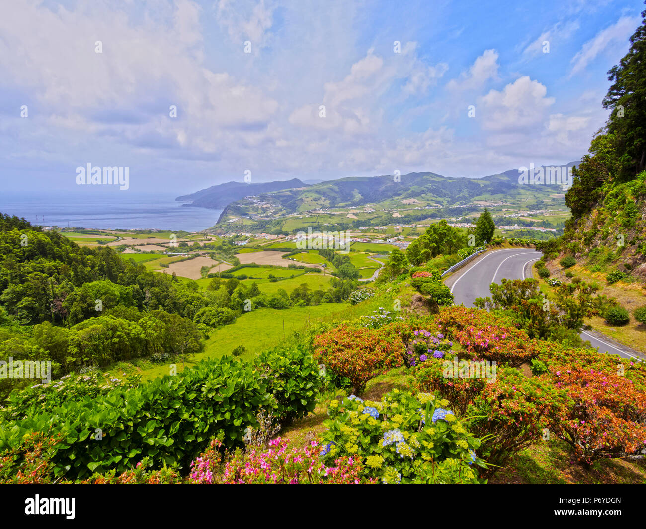 Portugal, Azores, Sao Miguel, Nordeste, View of the Eastern Coast with Hortensias in the foreground. Stock Photo