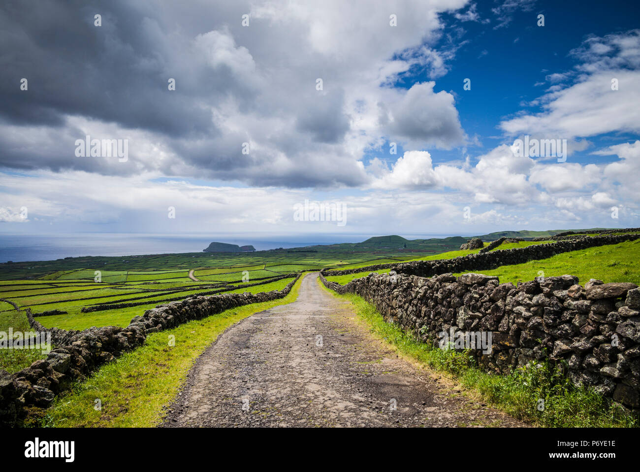 Portugal, Azores, Terceira Island, Serra do Cume, stone wall Stock Photo