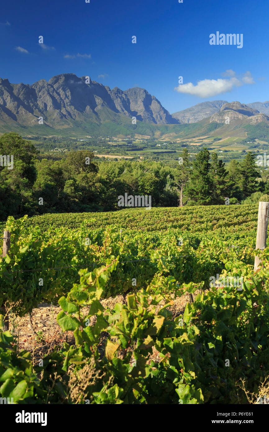 South Africa, Western Cape, Franschhoek, view over Town and Valley Stock Photo