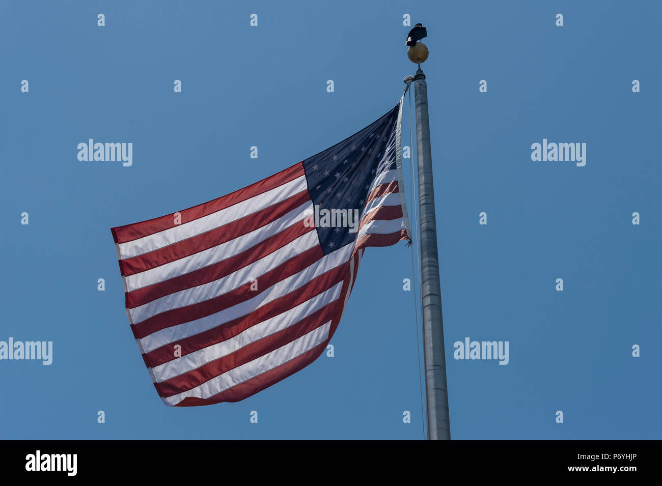 US flag with a blue sky background Stock Photo Alamy