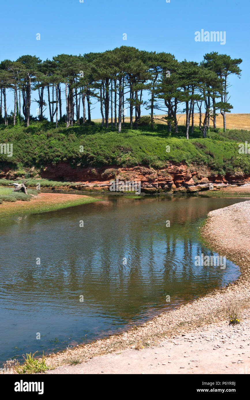 A view across the Otter Estuary Nature Reserve at Budleigh Salterton, Devon on a summers day with clear blue skies Stock Photo