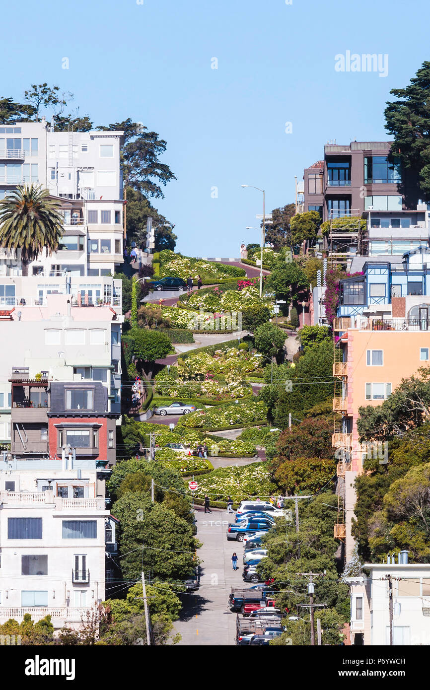 Lombard street, World's crookedest street, San Francisco, California