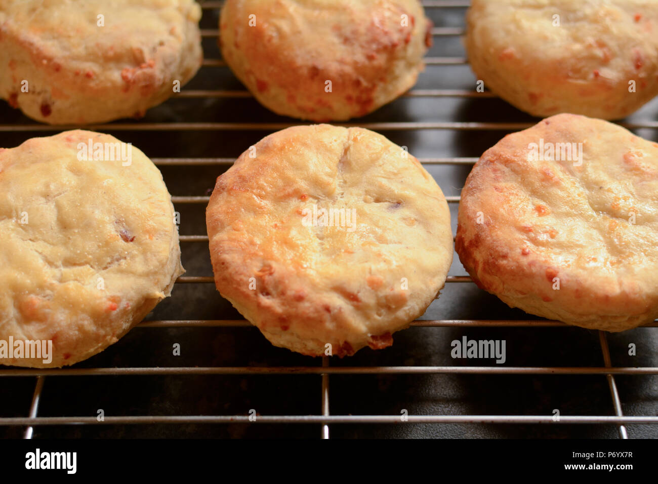 Cheese scones cooling on wire rack Stock Photo Alamy
