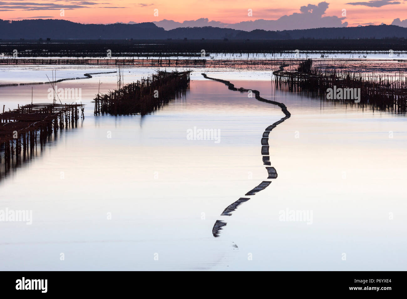 Oyster beds in the shape of a snake at sunset, Halong Bay, Quang Ninh Province, North-East Vietnam, South-East Asia Stock Photo