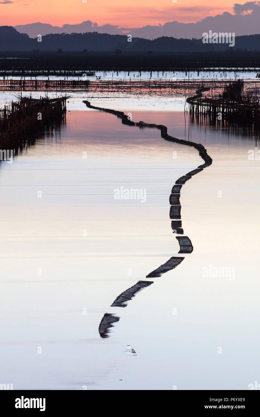 Oyster beds in the shape of a snake at sunset, Halong Bay, Quang Ninh Province, North-East Vietnam, South-East Asia Stock Photo