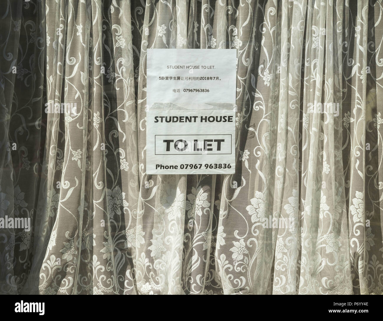 Sign in window of a terraced house in Treforest, Pontypridd, Wales, advertising rooms to let to students Stock Photo