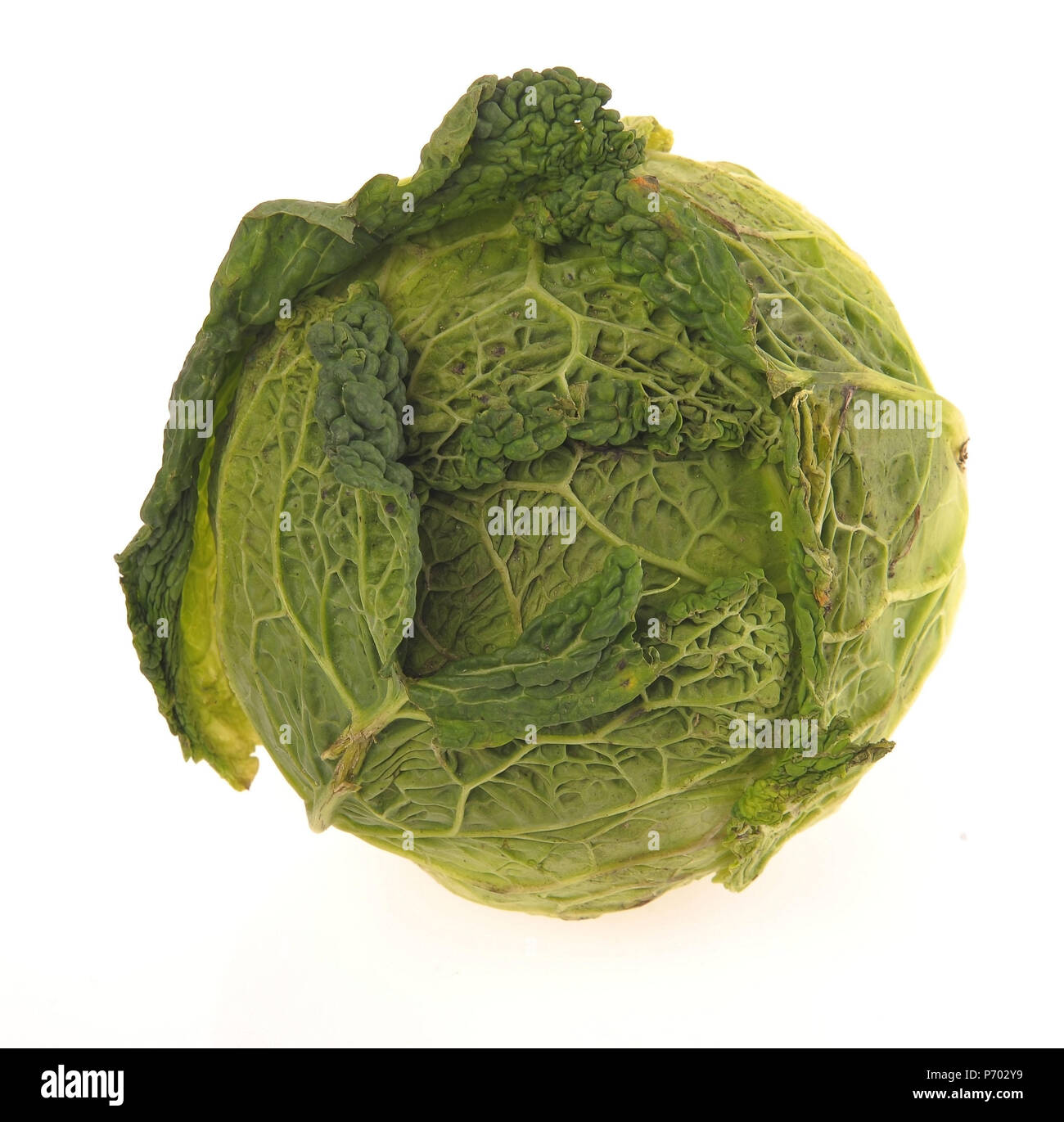 Savoy cabbage head isolated on white background Stock Photo - Alamy