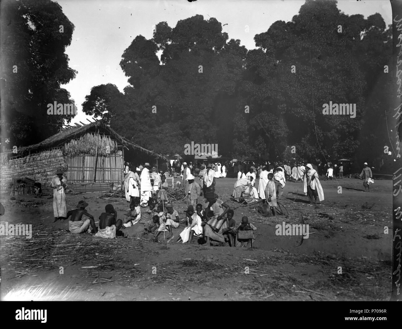 9 En hop folk, mangoträd i bakgrunden - SMVK - 021722 Stock Photo - Alamy