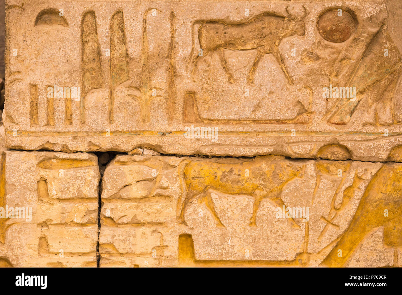 Egypt, Luxor, West Bank, the Temple of Ramessess 11 known as The