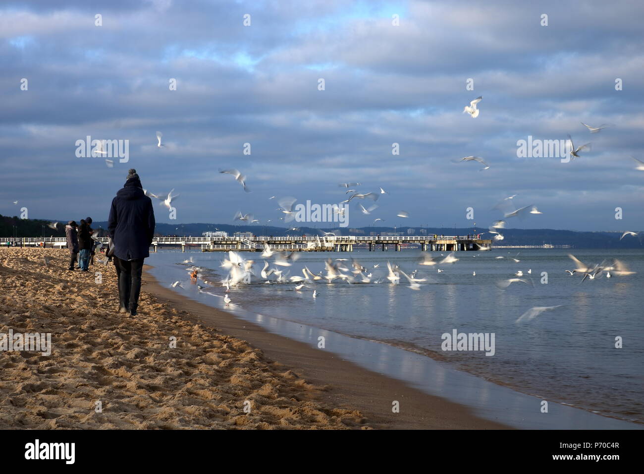 Sea, sea birds fly, people walk on sandy beach, cold weather, cloudy sky, people dressed in jackets and hats Stock Photo