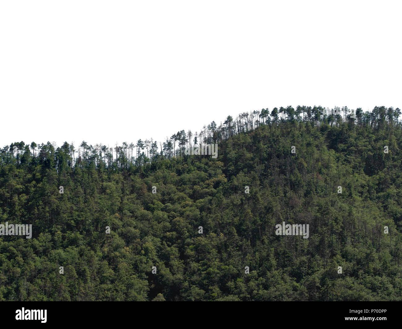 Treeline background hi-res stock photography and images - Alamy