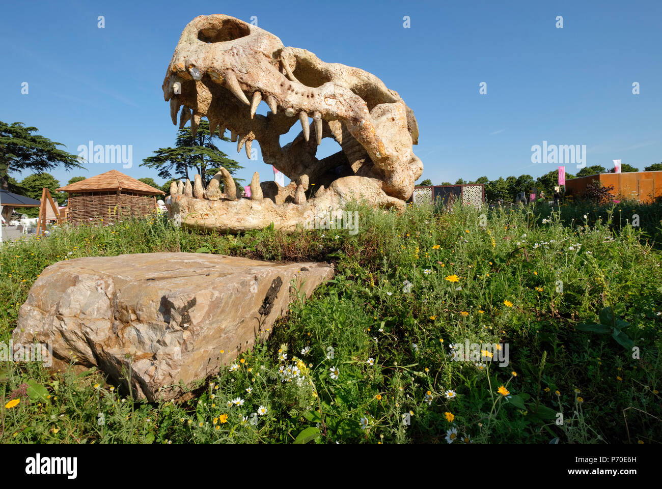 RHS Hampton Court Palace Flower Show, 2018. Evolve: Through the roots of time garden designed by Dave Green Landscape Design. Stock Photo