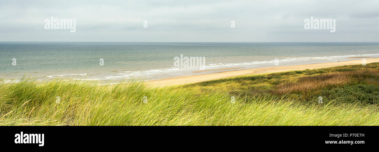 Beautiful panorama of a typical dutch coastal landscape, with horizon, overcast sky, marram grass and sand Stock Photo