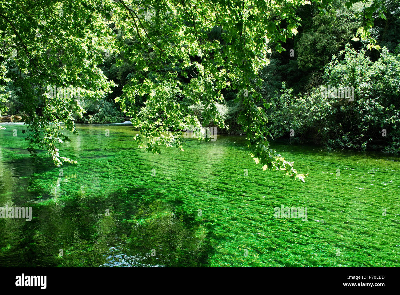Sorgue river in Fontaine de Vaucluse Stock Photo