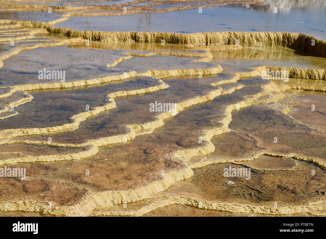 Hot Springs in Yellowstone Stock Photo
