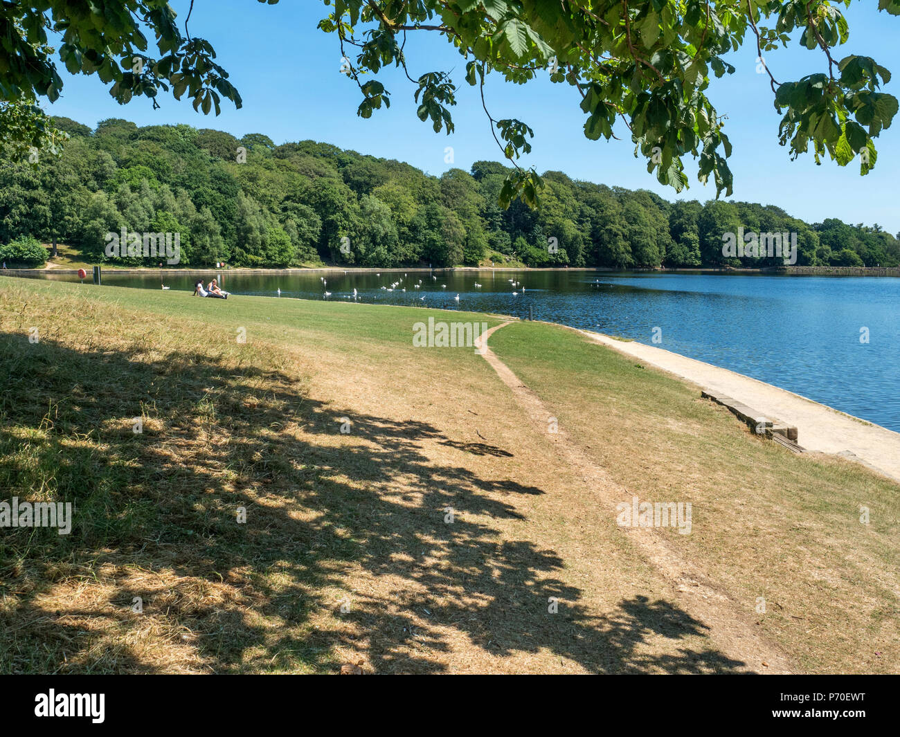 Waterloo Lake at Roundhay Park Roundhay Leeds West Yorkshire England