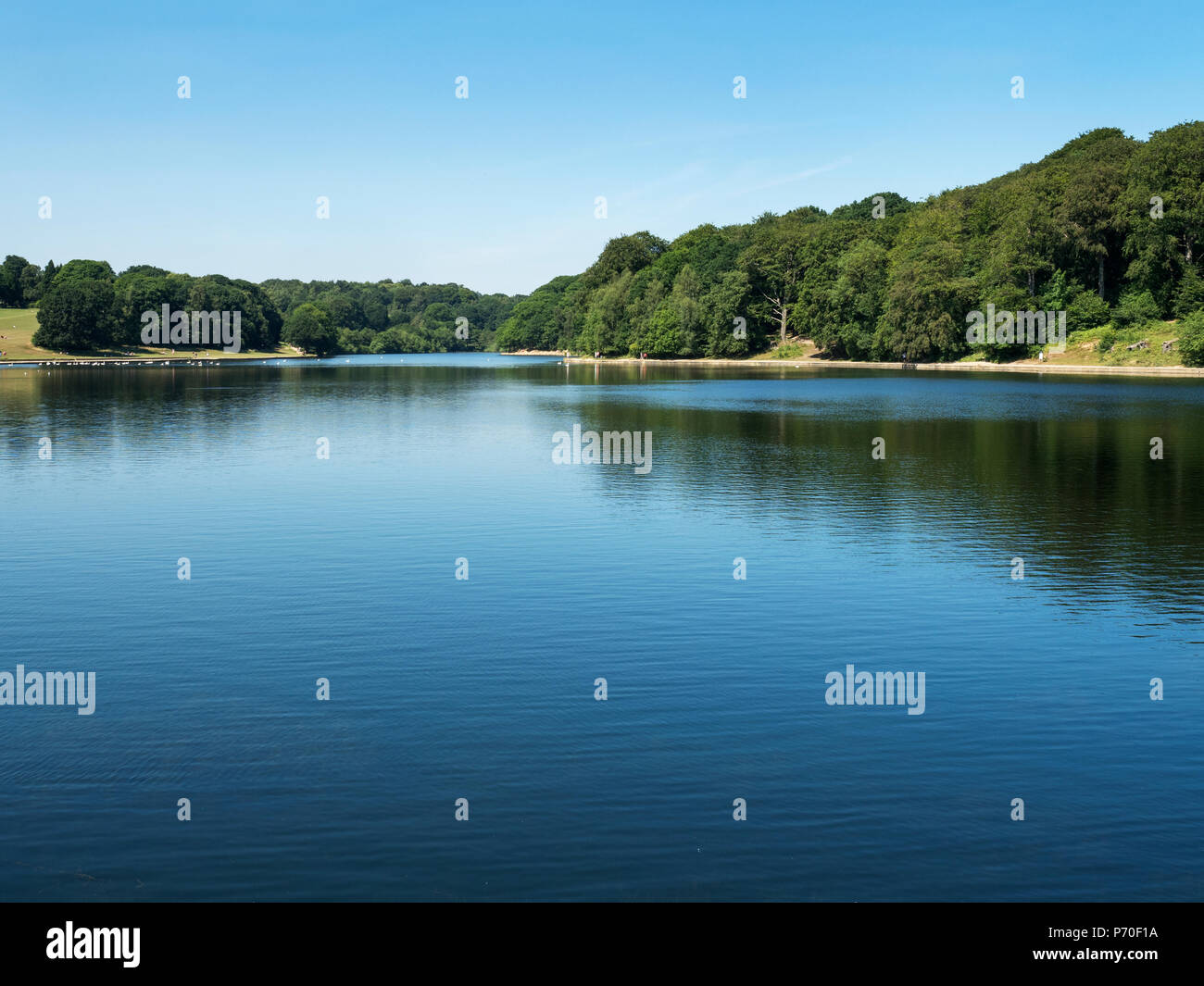 Waterloo Lake at Roundhay Park Roundhay Leeds West Yorkshire England