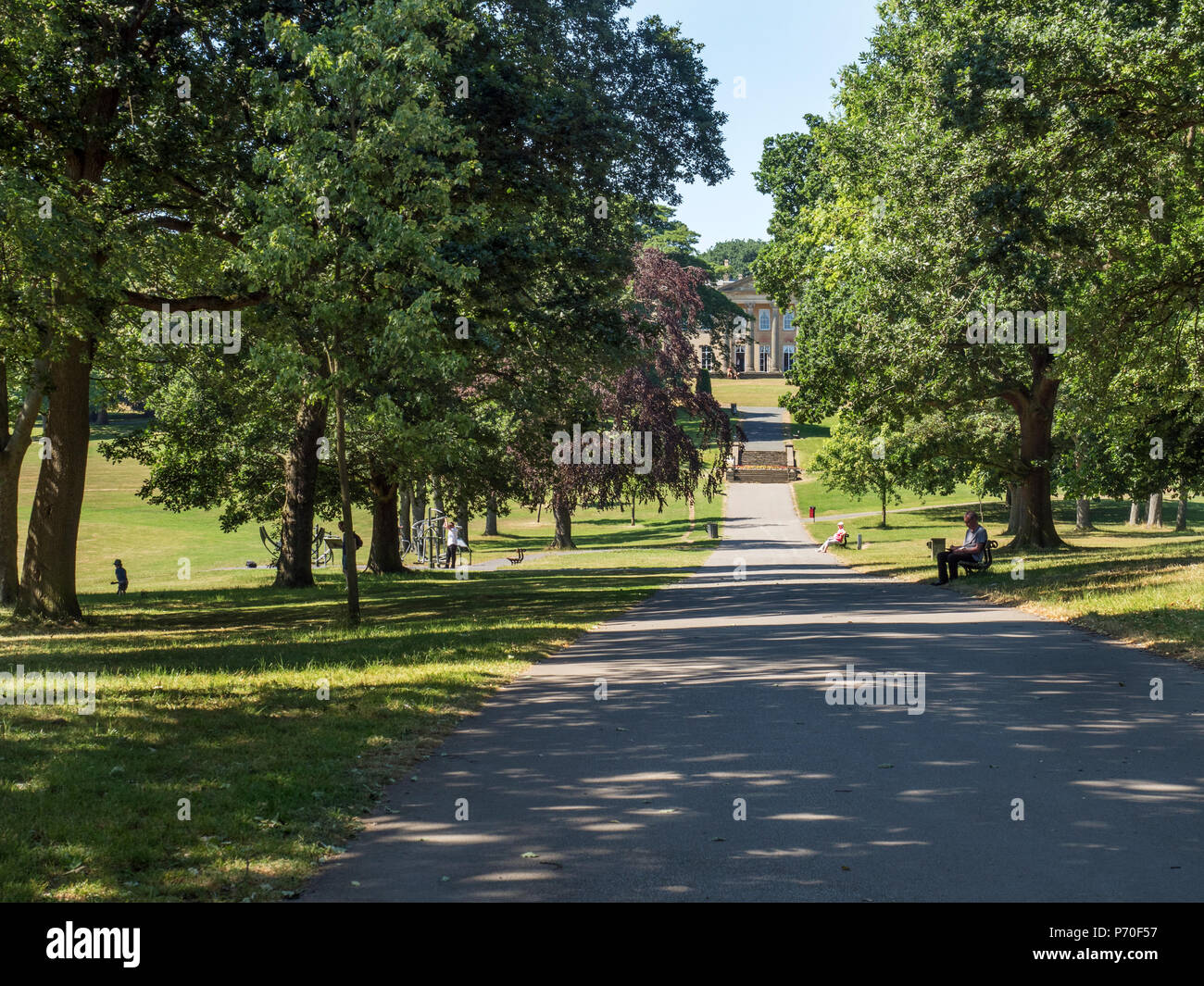 Avenue of trees leading to The Mansion in Roundhat Park Roundhay Leeds West Yorkshire England Stock Photo