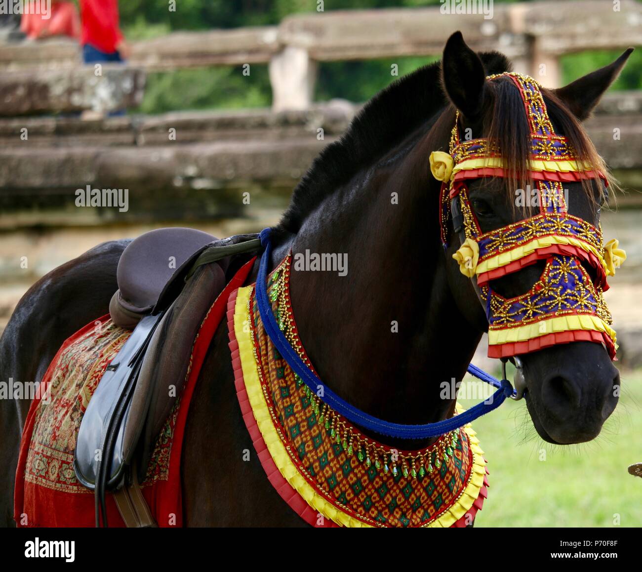 Decorated bridle hires stock photography and images Alamy