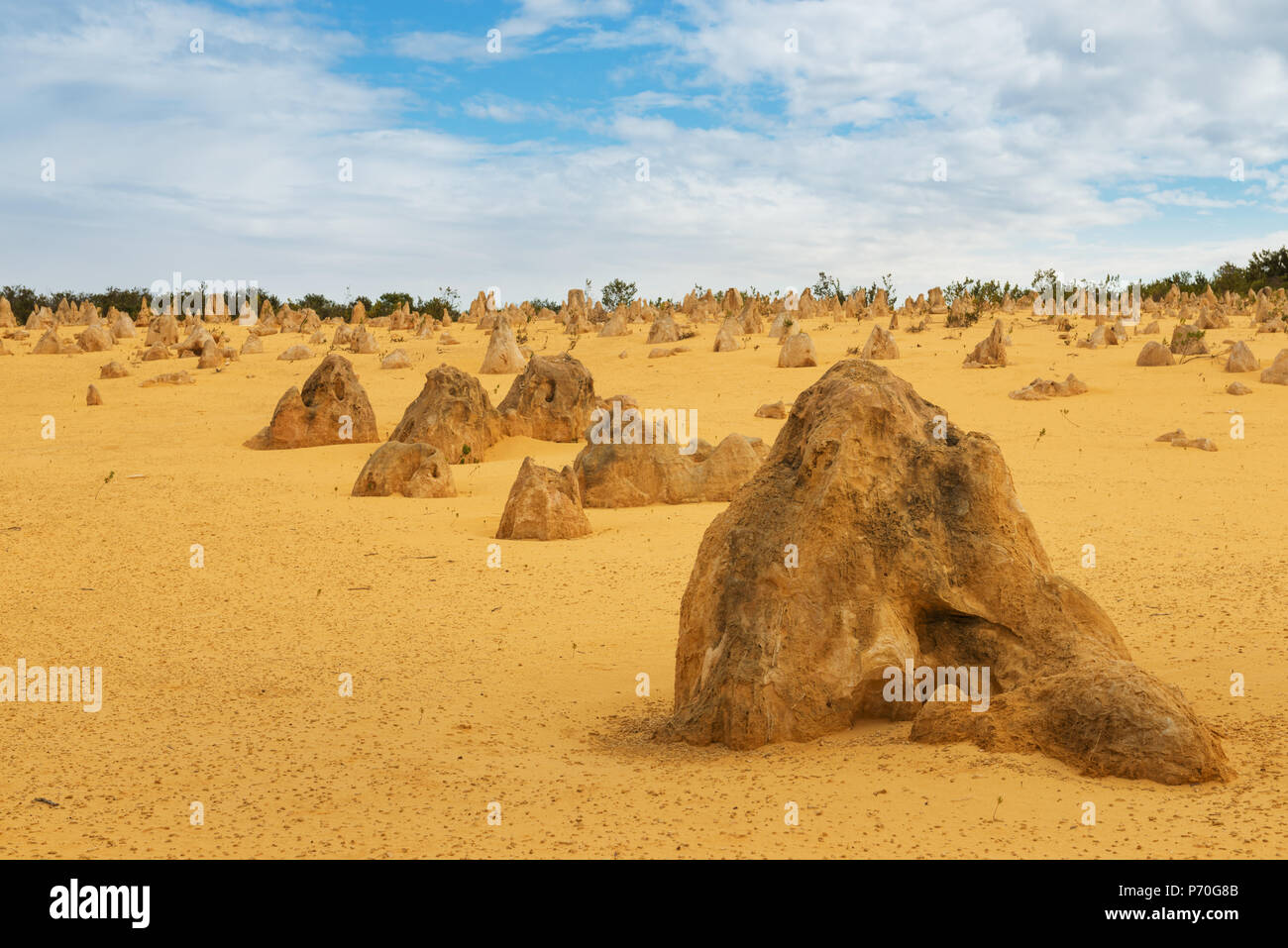 Yellow sand dunes and  limestone  pillars  Pinnacles Desert in the Nambung National Park, Western Australia. Stock Photo
