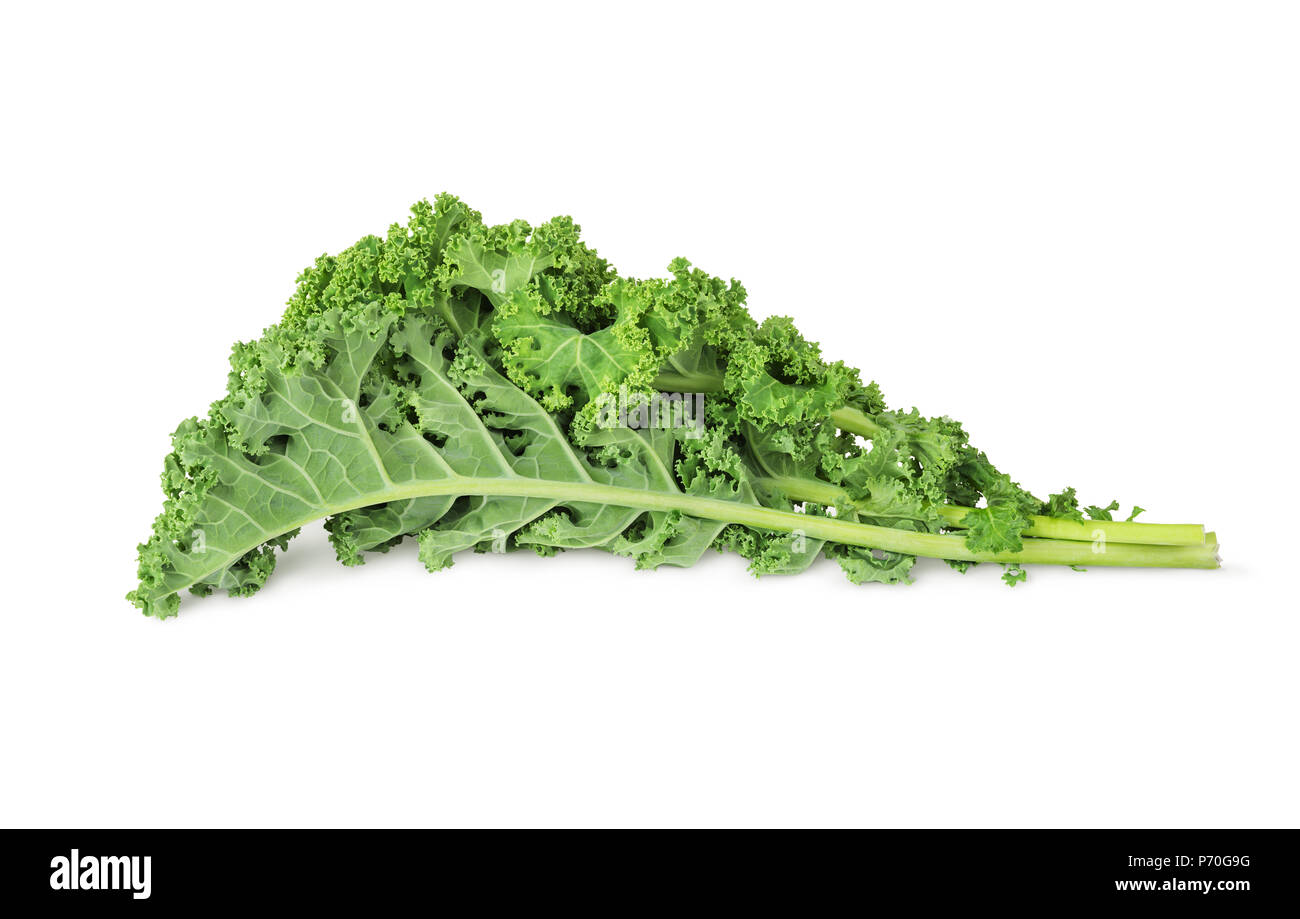 fresh green kale leaves vegetable  isolated  on white background Stock Photo