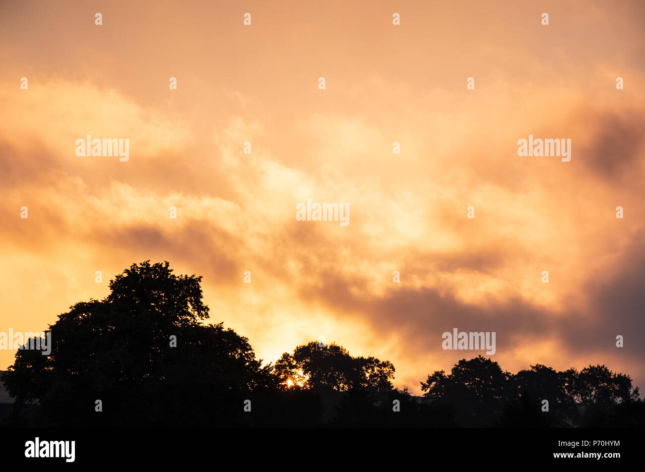 Fiery orange cloudy sky at sunset with tree silhouette at bottom perfect for use as a backdrop with a lot of space for advertising words and phrases Stock Photo