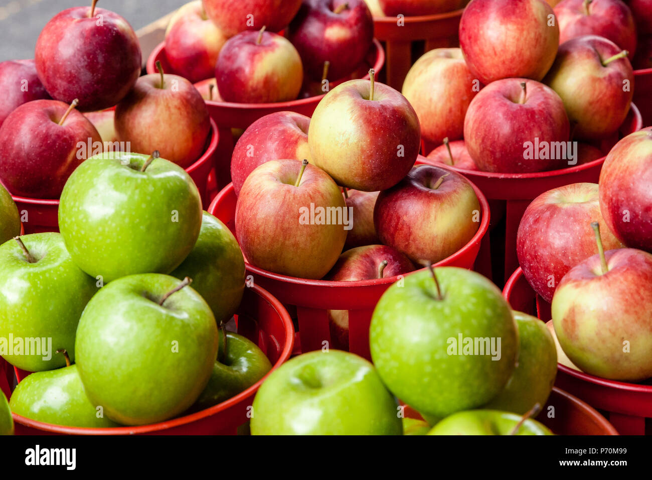 An abundance of red and green apples in baskets. Stock Photo
