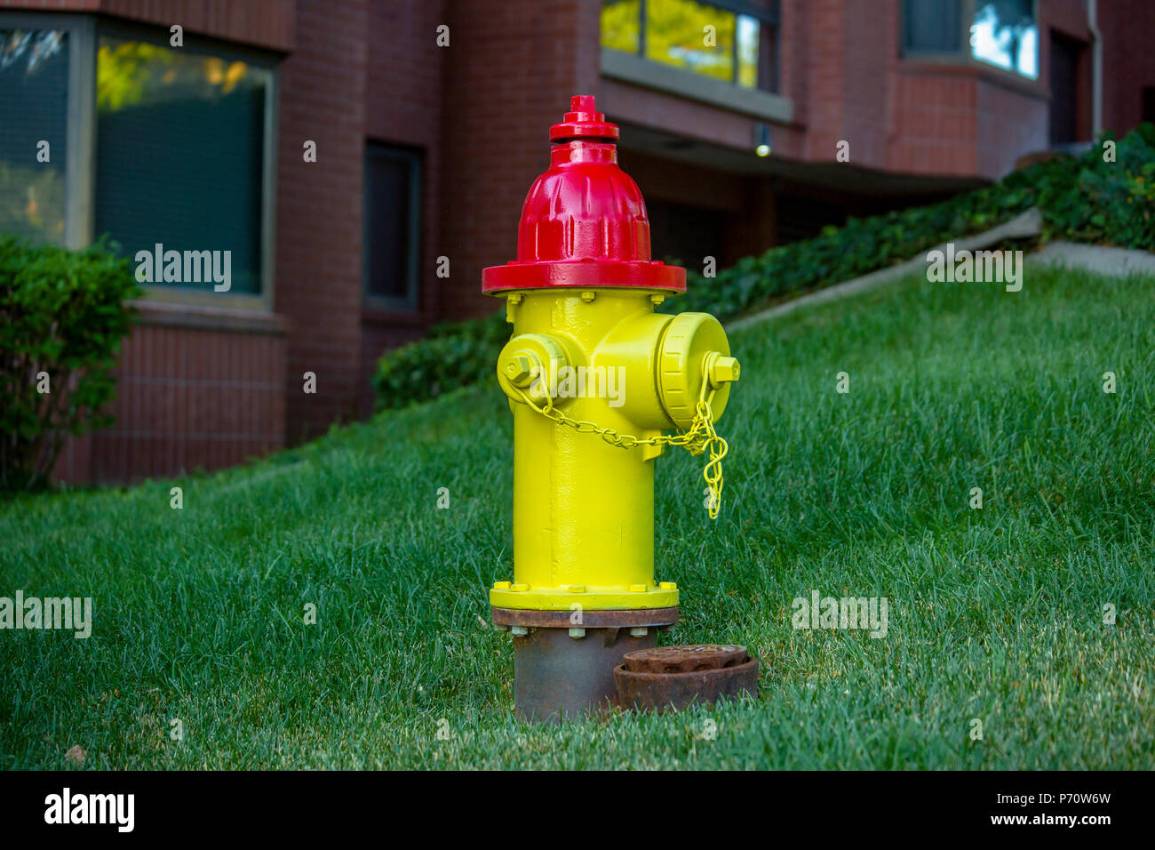Yellow and red fire hydrant downtown Stock Photo Alamy
