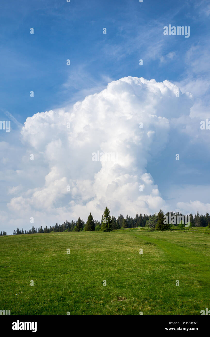 Germany, Remote black forest landscape and thunderstorm cloud Stock Photo