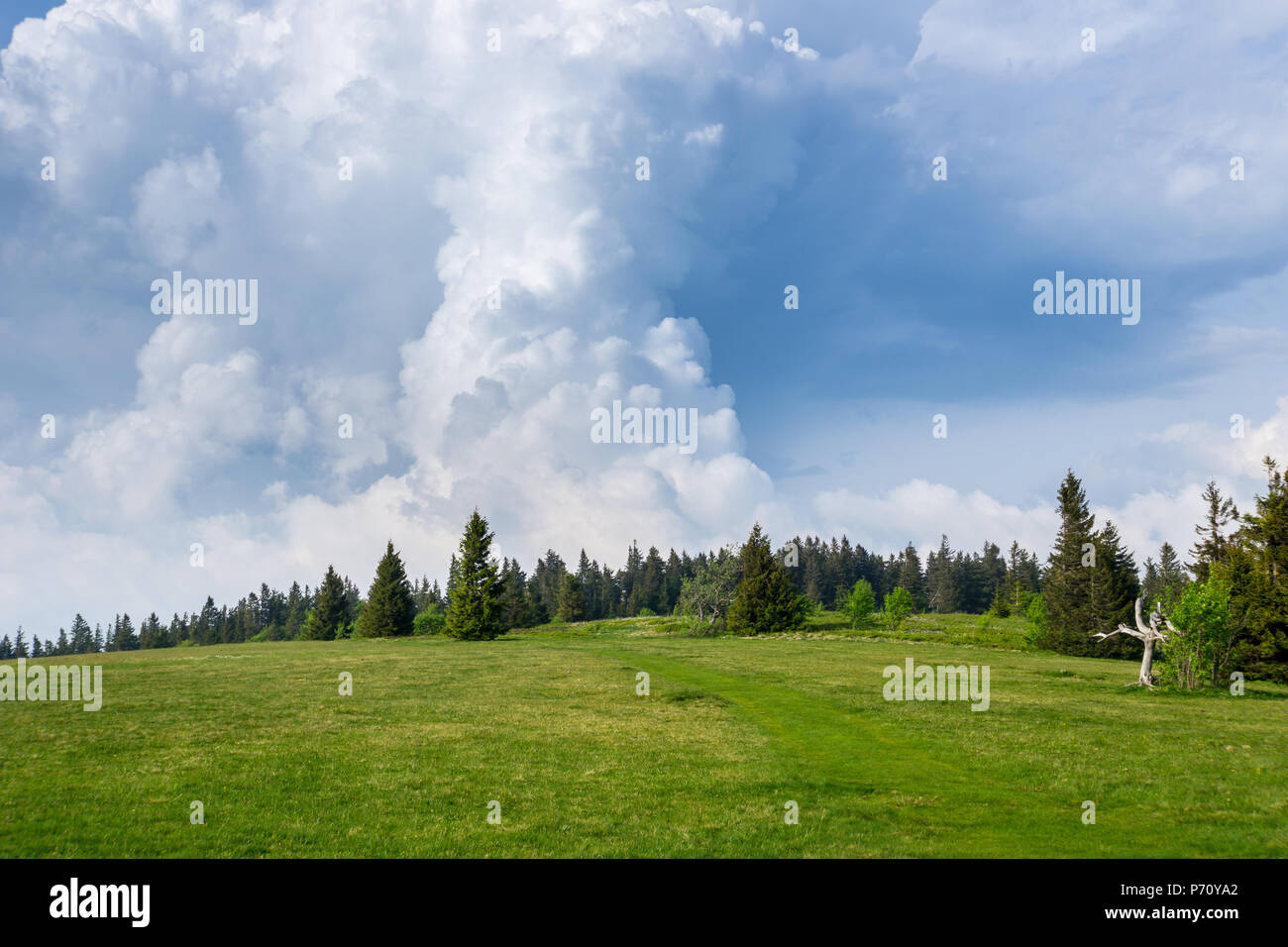 Germany, Dramatic sky of thunderstorm cloud formations over black forest nature landscape Stock Photo