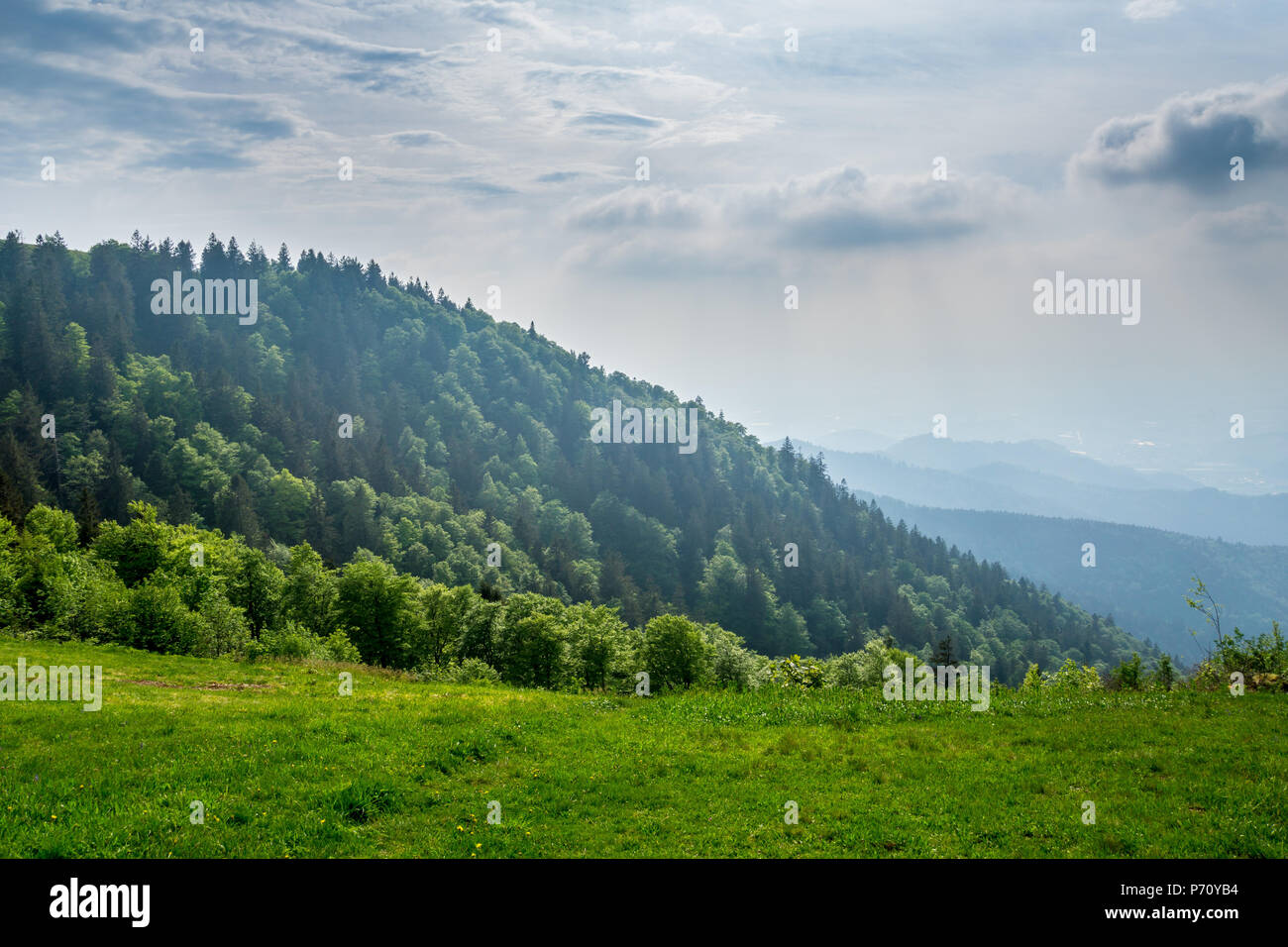 Germany, Endless black forest mountain landscape in nature on mountain Kandel Stock Photo
