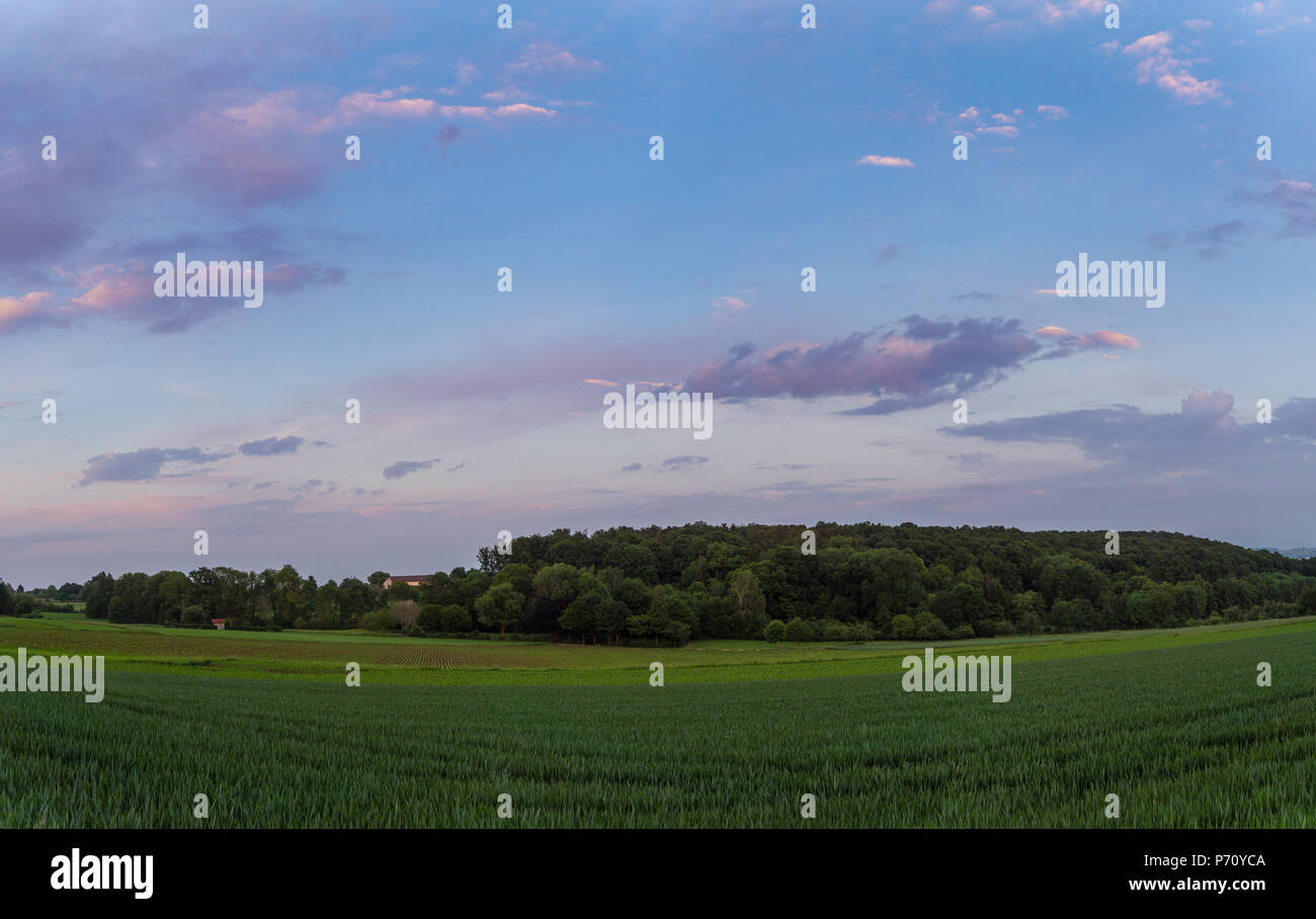 Stuttgart forest hi-res stock photography and images - Alamy
