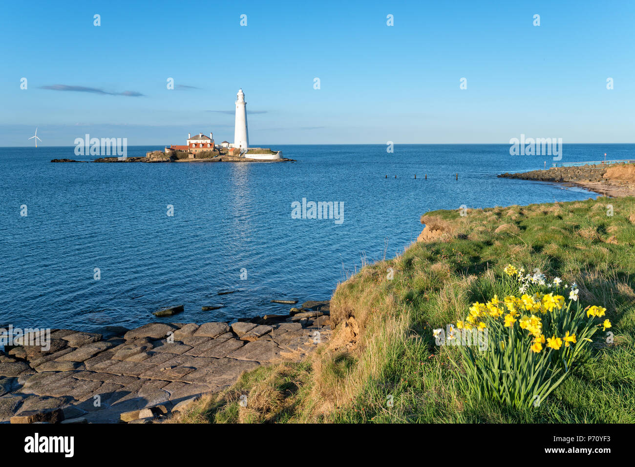 Lighthouse of st marys island hires stock photography and images Alamy