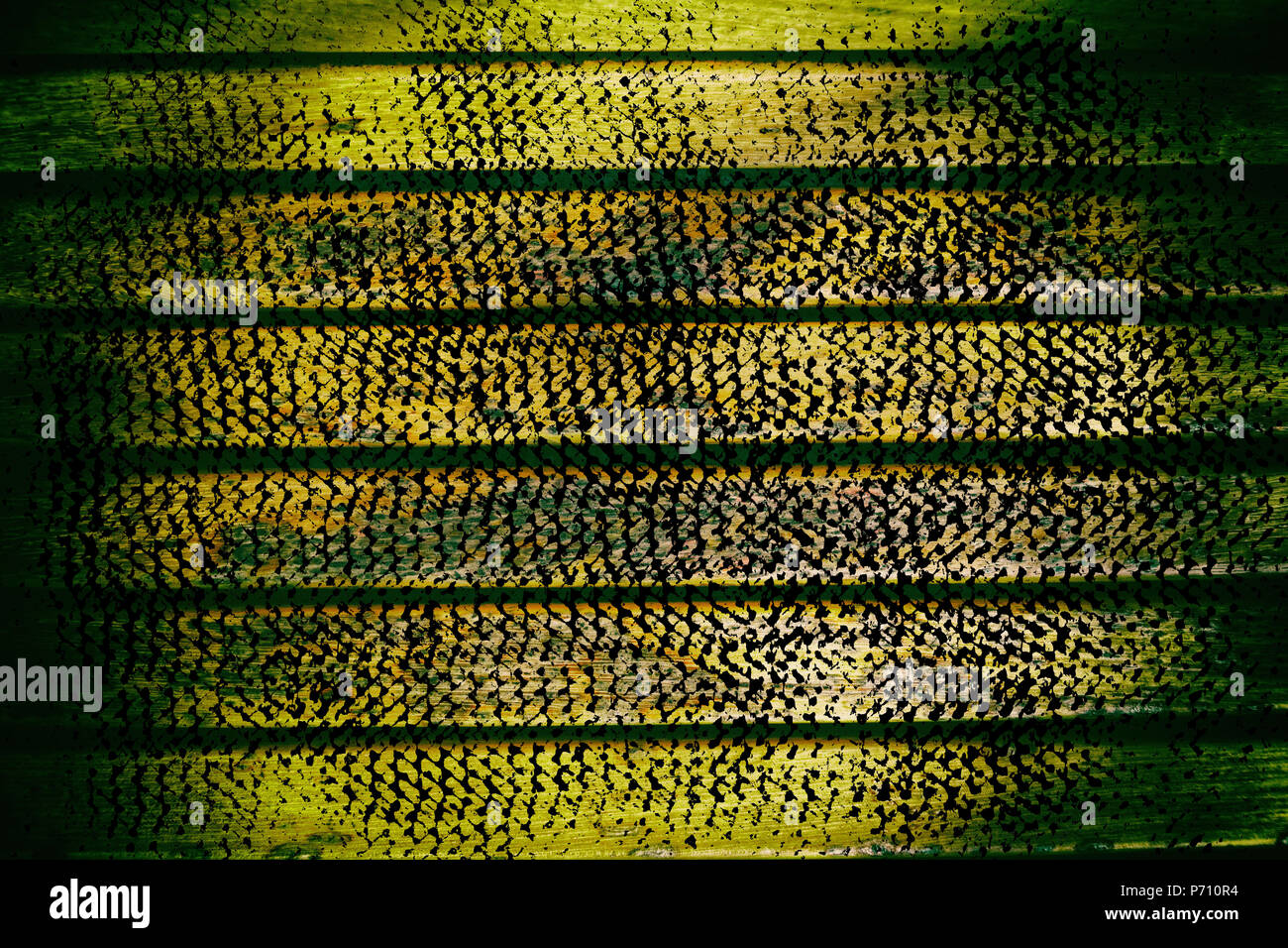 Grunge Wooden bench plank texture for web site or mobile devices ...