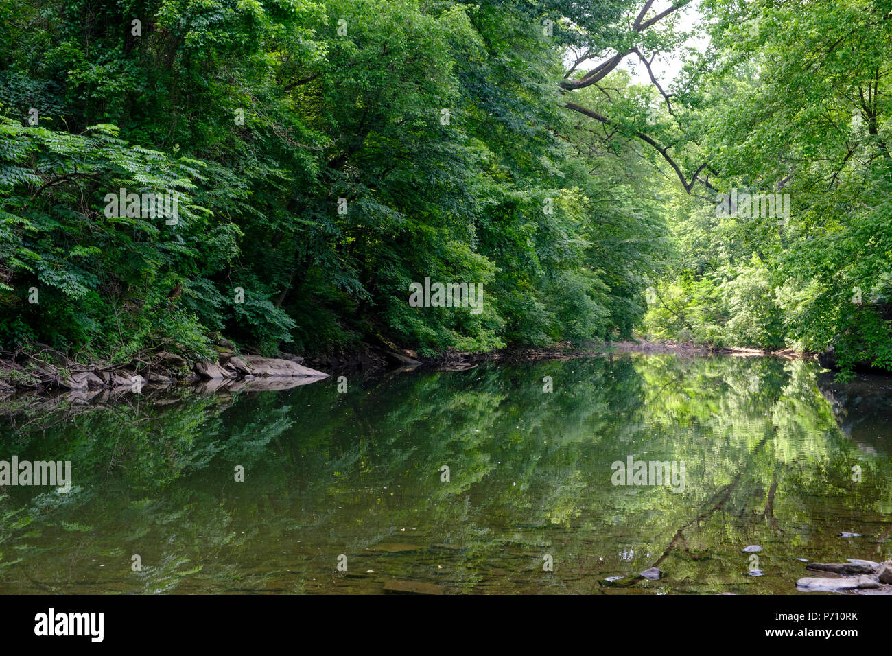 Wissahickon Creek in 1,800-acre Wissahickon Valley Park,Northwest Philadelphia, Pennsylvania, USA Stock Photo