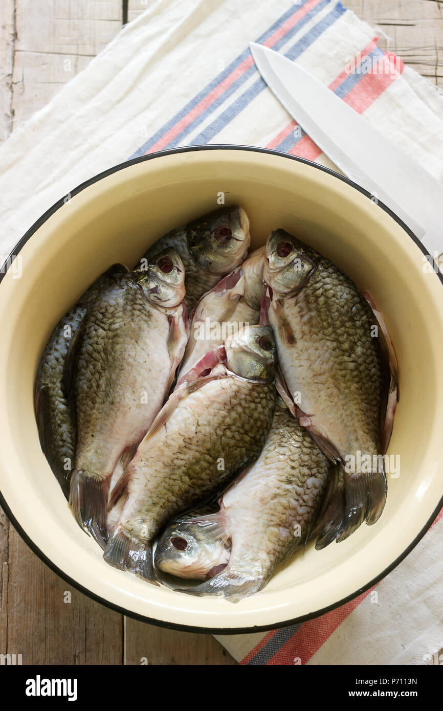 Fresh cleaned river carp in a metal basin on a table. Stock Photo