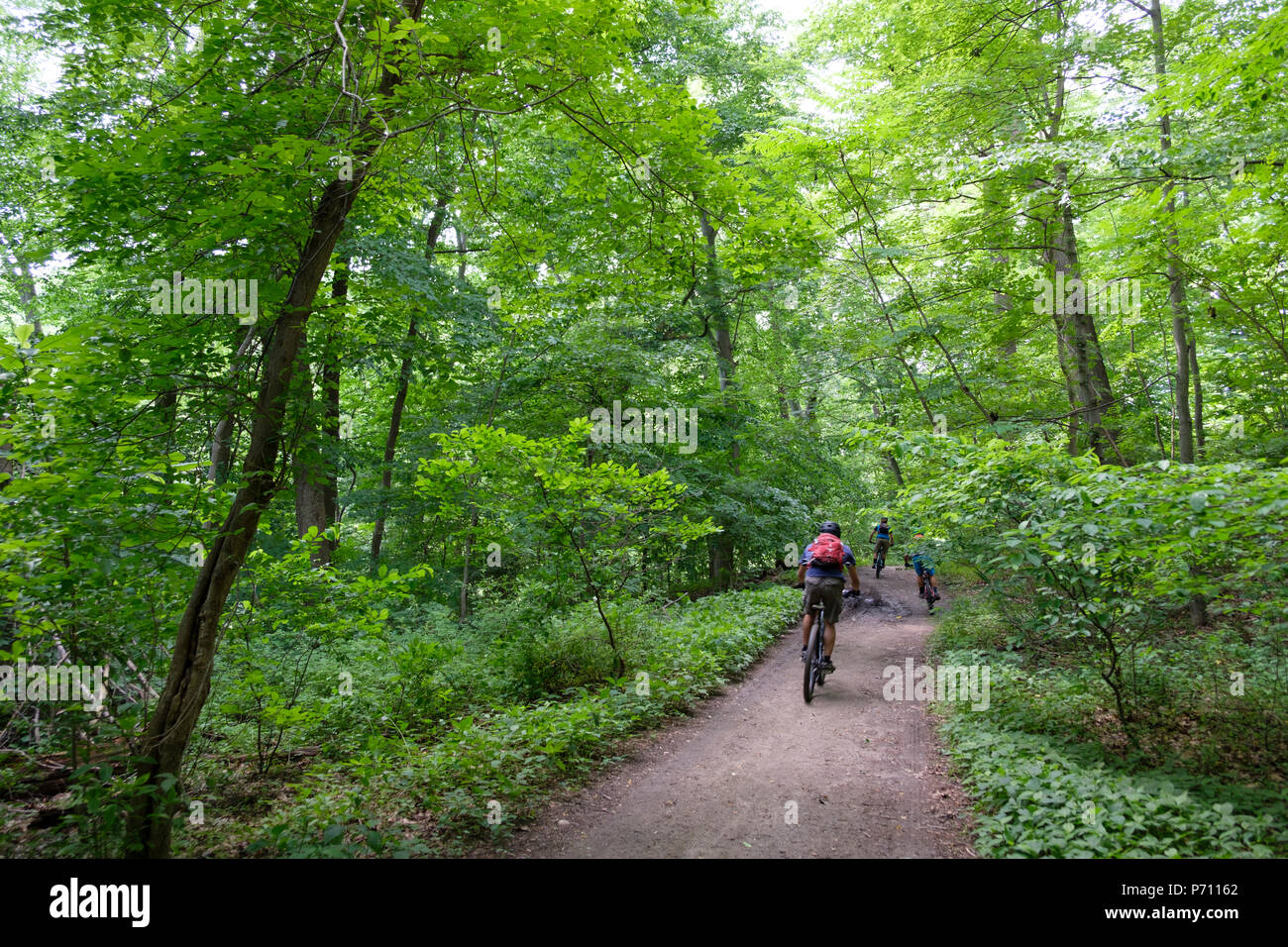 Mountain Bikers on trails of Wissahickon River Valley Park, Northwest Philadelphia, Pennsylvania, USA Stock Photo