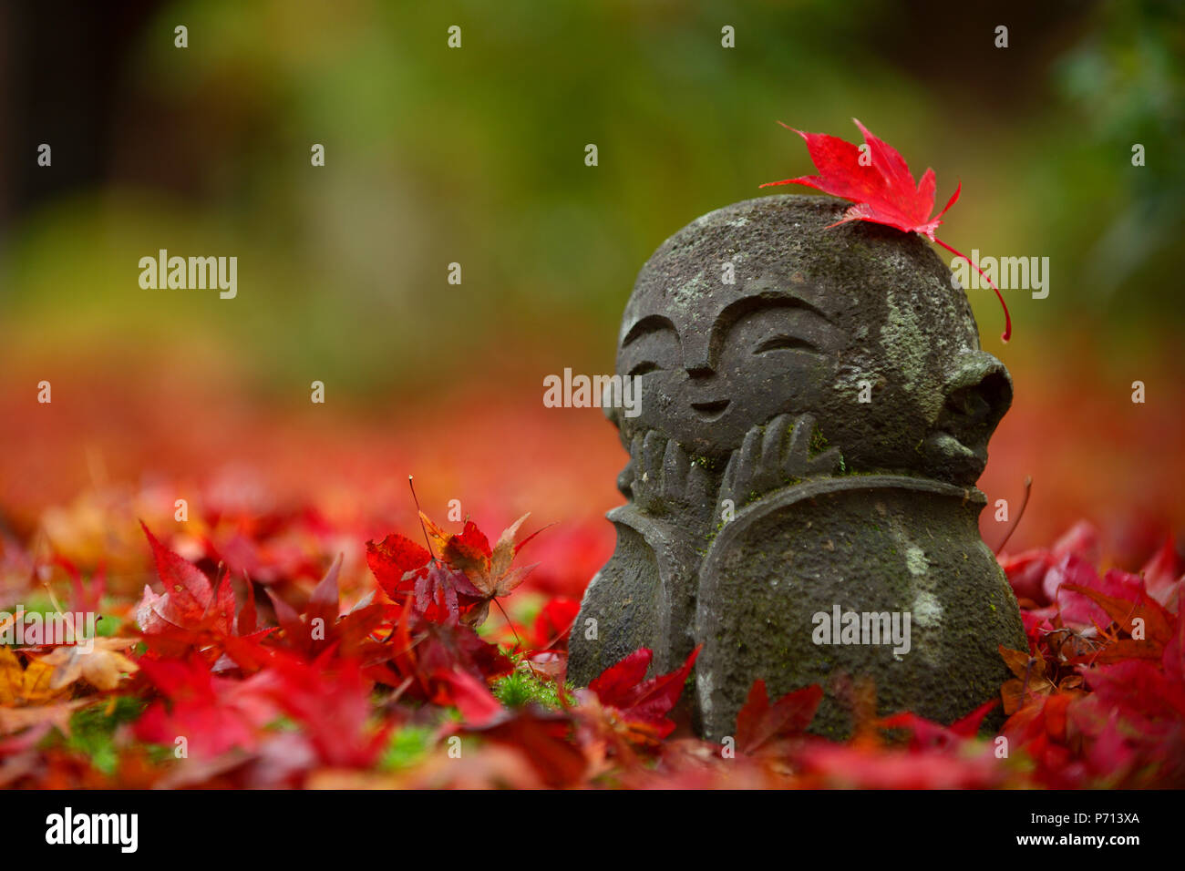 Little jizo statue among fallen maple leaves, Enkoji temple, Kyoto