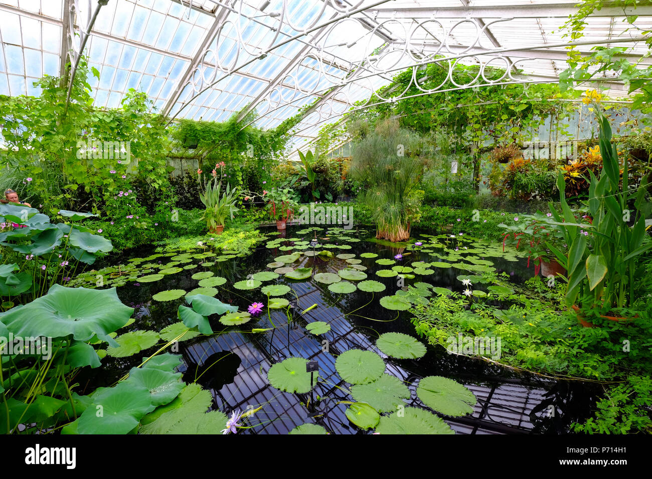 Waterlily House at Kew Gardens, UNESCO World Heritage Site, London