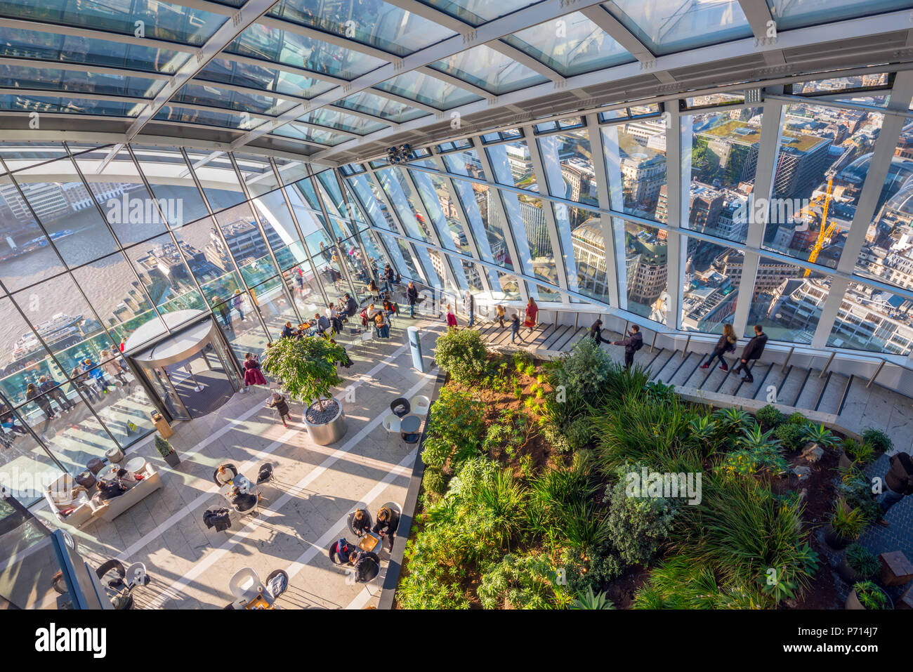 The Sky Garden at the Walkie Talkie (20 Fenchurch Street), City of London, London, England, United Kingdom, Europe Stock Photo