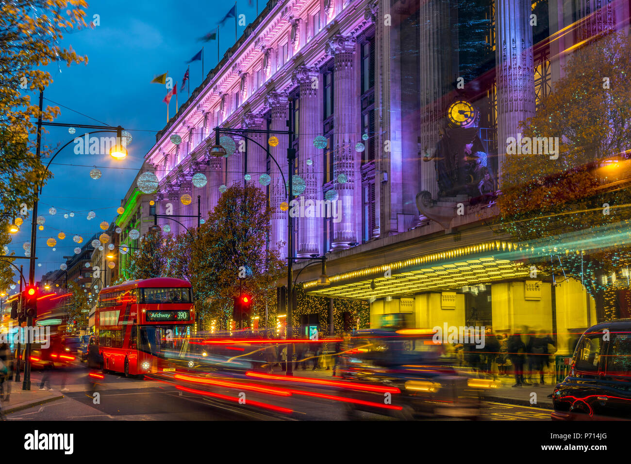 christmas light store