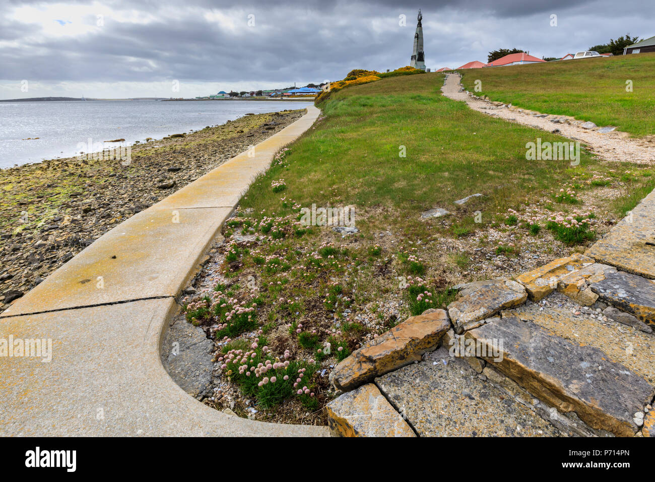 Thrift (Armeria maritima), 1914 Battle of the Falklands Memorial, Stanley waterfront, Port Stanley, Falkland Islands, South America Stock Photo